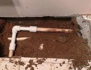 凉城测漏水哪家好