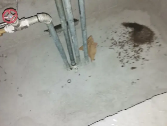 凉城卫生间测漏水价格明细