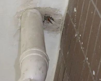 凉城漏水检测哪家好